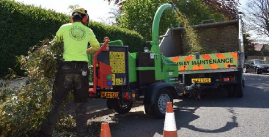 Twentyeight-Trees-1200x0-c-default