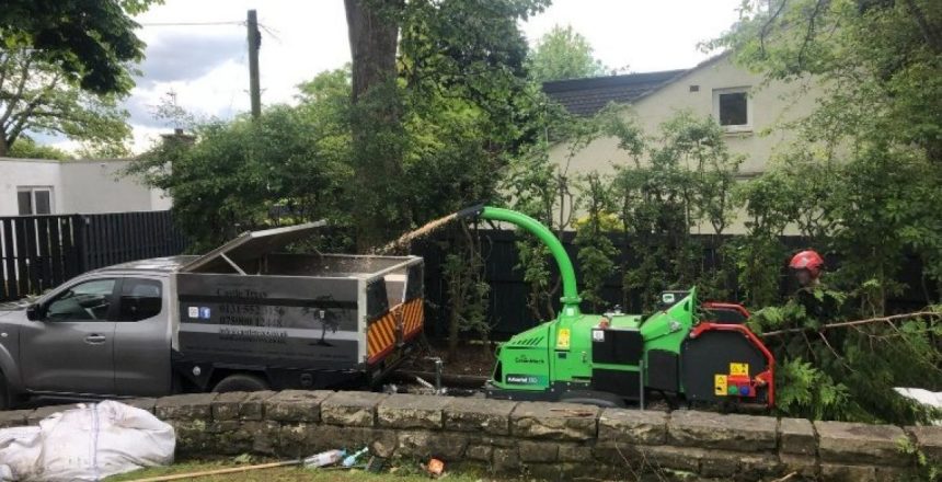 image1-17-1-1200x0-c-default